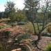 Artists Meadow Garden_0175 thumbnail