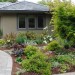Front Yard No-Lawn Garden_0178 thumbnail