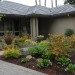 Front Yard No-Lawn Garden_0179 thumbnail