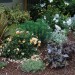 Front Yard No-Lawn Garden_0182 thumbnail