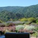 Hilltop Garden That Embraces Wildlife_0193 thumbnail