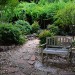 Multi-Function No-Lawn Garden_0245 thumbnail