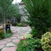 Multi-Function No-Lawn Garden_0247 thumbnail