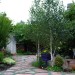 Multi-Function No-Lawn Garden_0248 thumbnail