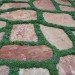 Multi-Function No-Lawn Garden_0253 thumbnail