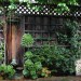 Rebeccas Garden_0222 thumbnail
