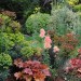 Rebeccas Garden_0229 thumbnail