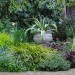 Rebeccas Garden_0233 thumbnail