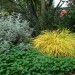 Rebeccas Garden_0237 thumbnail