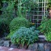 Rebeccas Garden_0239 thumbnail