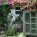 Rebeccas Garden_0241 thumbnail