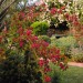 Rebeccas-Garden-01 thumbnail