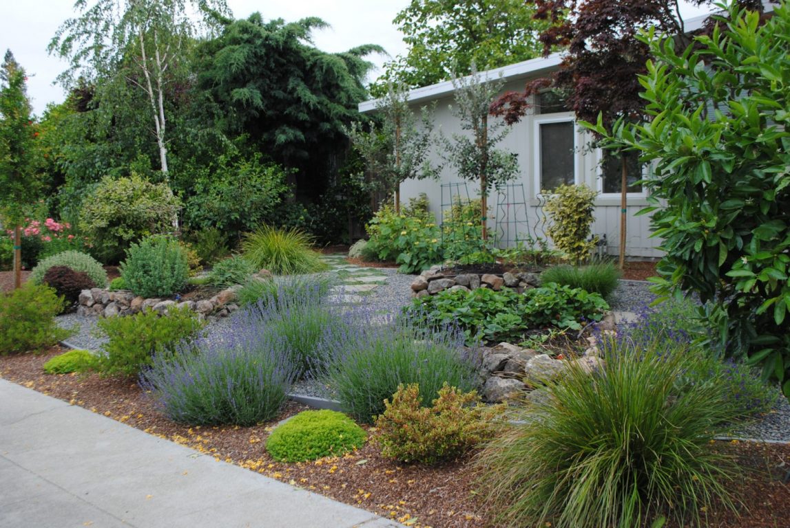 An Edible Front Yard Garden | Harmony in the Garden