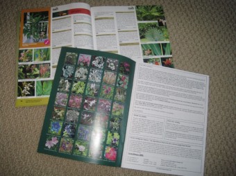 Seed Catalogues