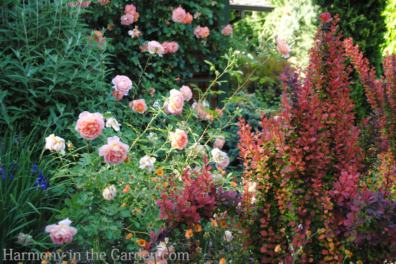 sabrina tanner garden