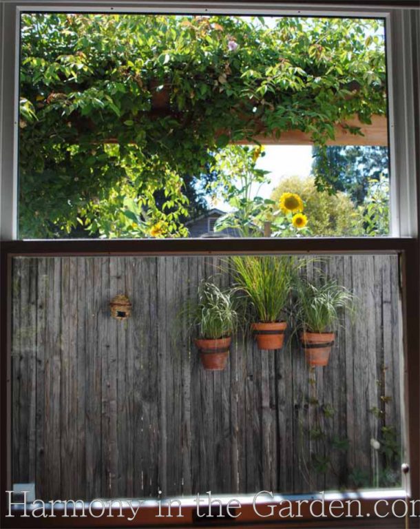 vertical gardening side yards