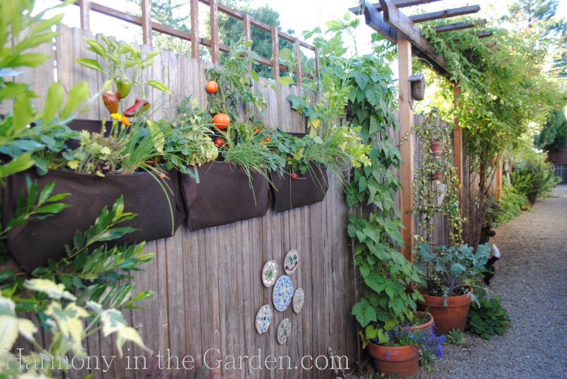 vertical gardening side yards