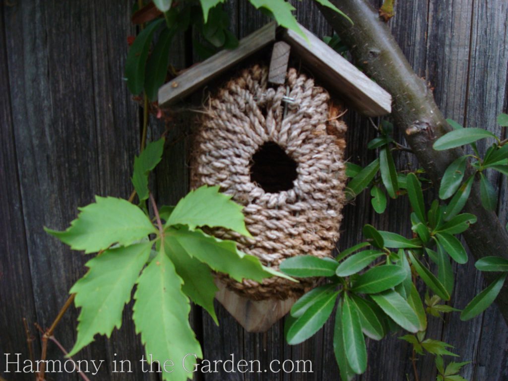 vertical gardening side yards