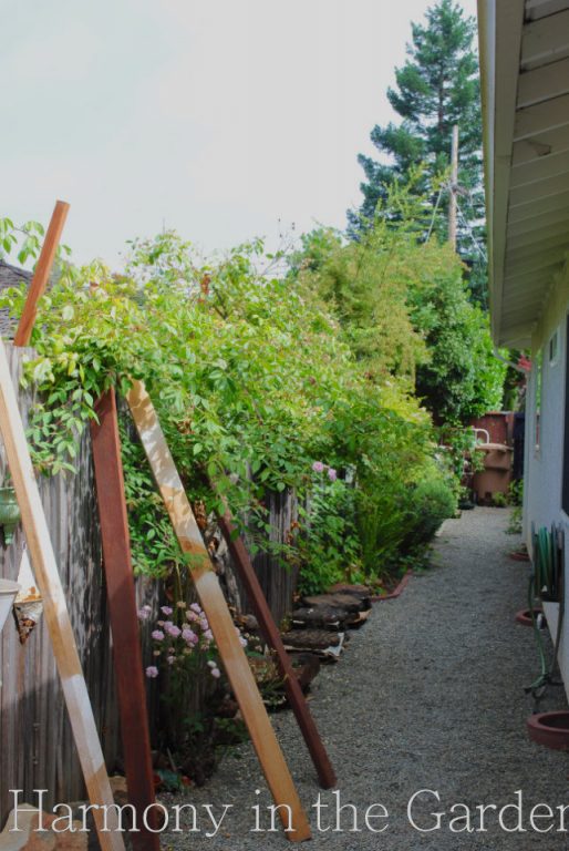 vertical gardening in side yards