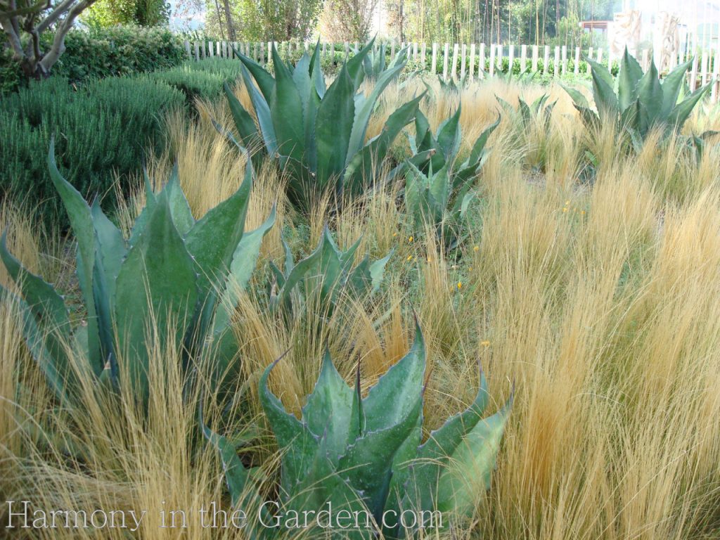 Designing with ornamental grasses