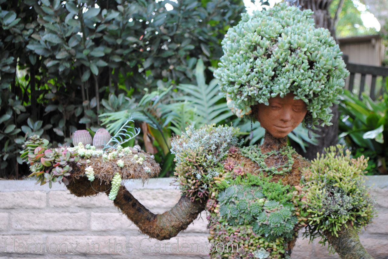 san diego botanic garden succulent people