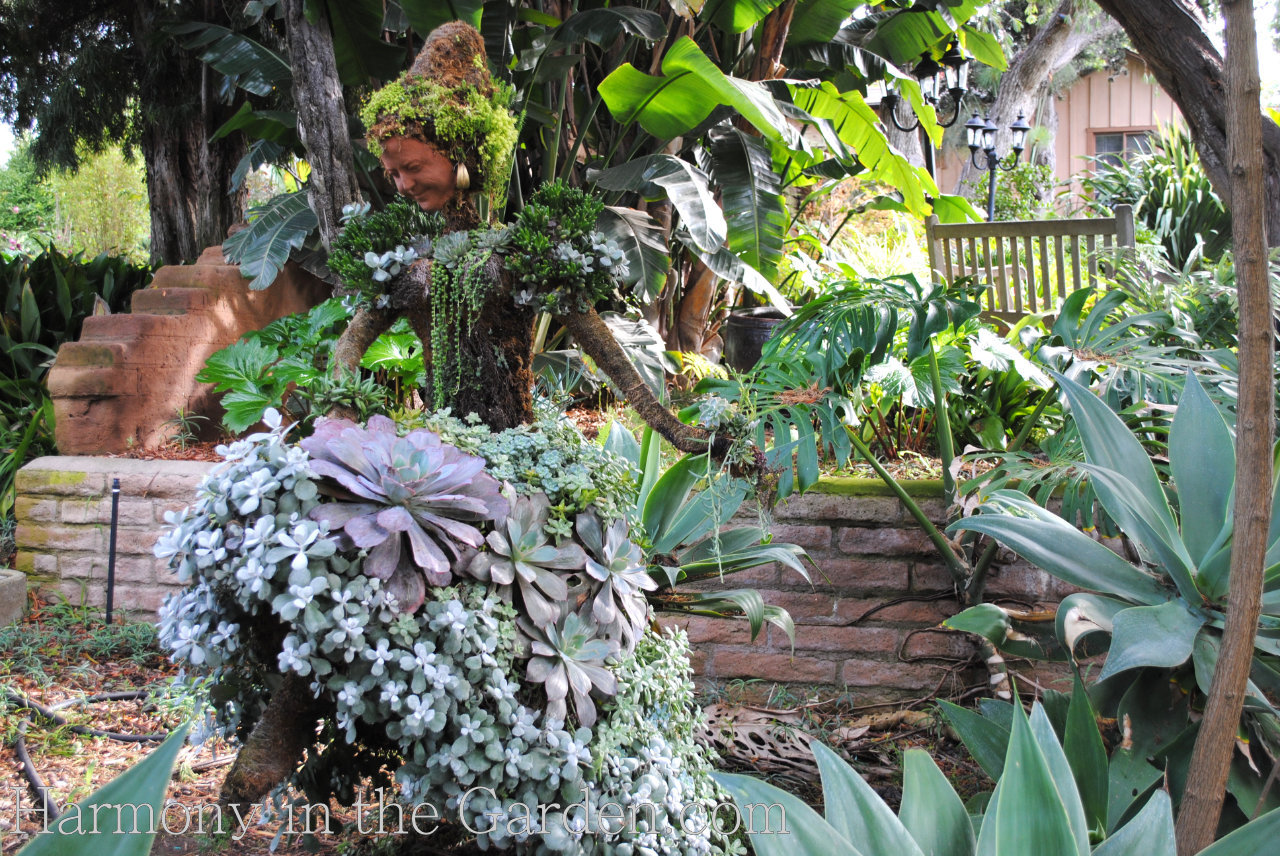 san diego botanic garden succulent people