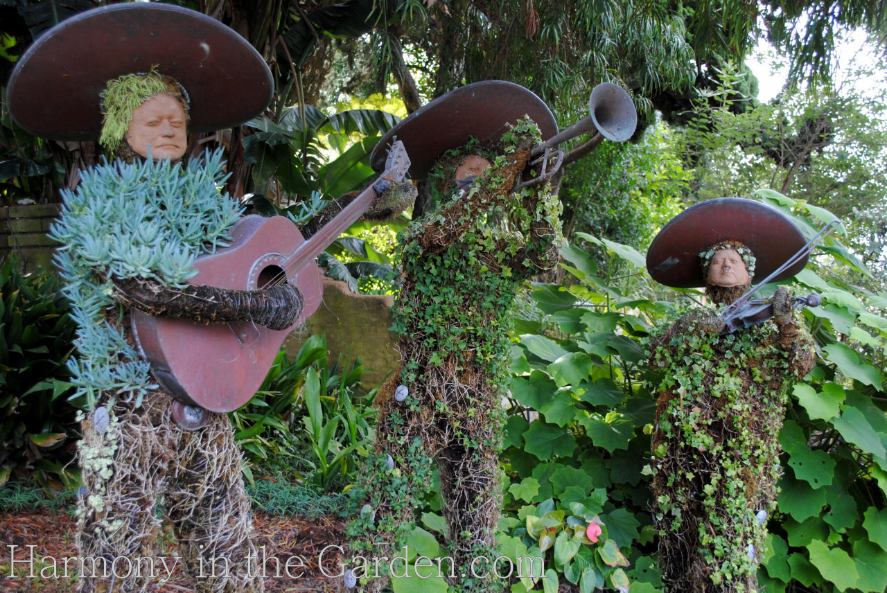 san diego botanic garden succulent people