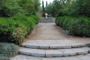 Pasadena's Arlington Garden - Harmony in the Garden