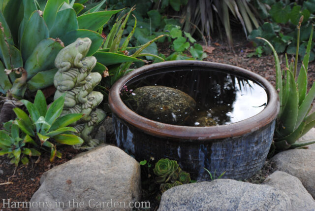 Pasadena's Arlington Garden - Harmony in the Garden