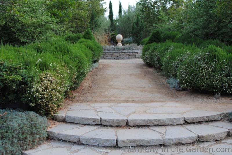 Pasadena’s Arlington Garden | Harmony in the Garden