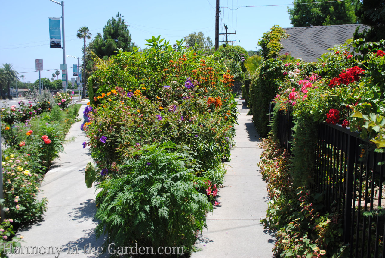 window boxes