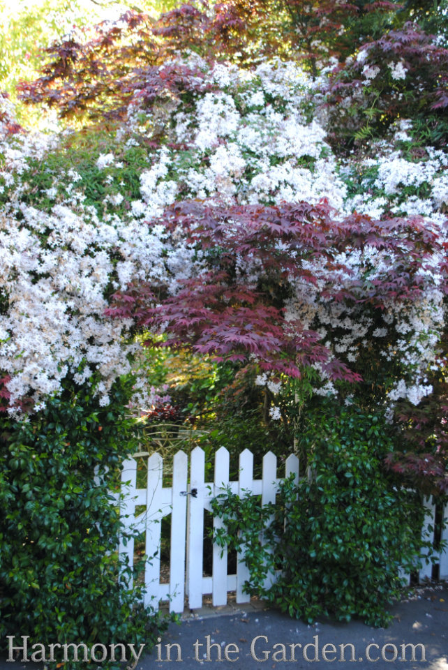 Transforming a side yard