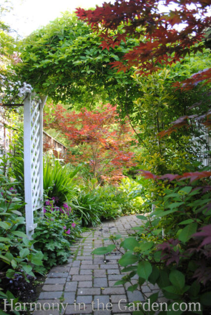 Transforming a side yard from Blah to Beautiful - Harmony in the Garden