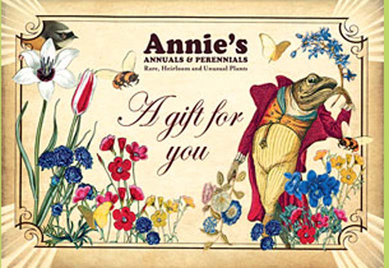 Annies Annuals