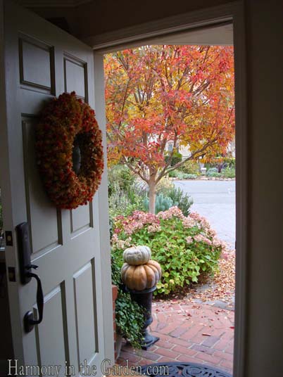 My front door