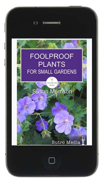 foolproof-plants-for-small-gardens