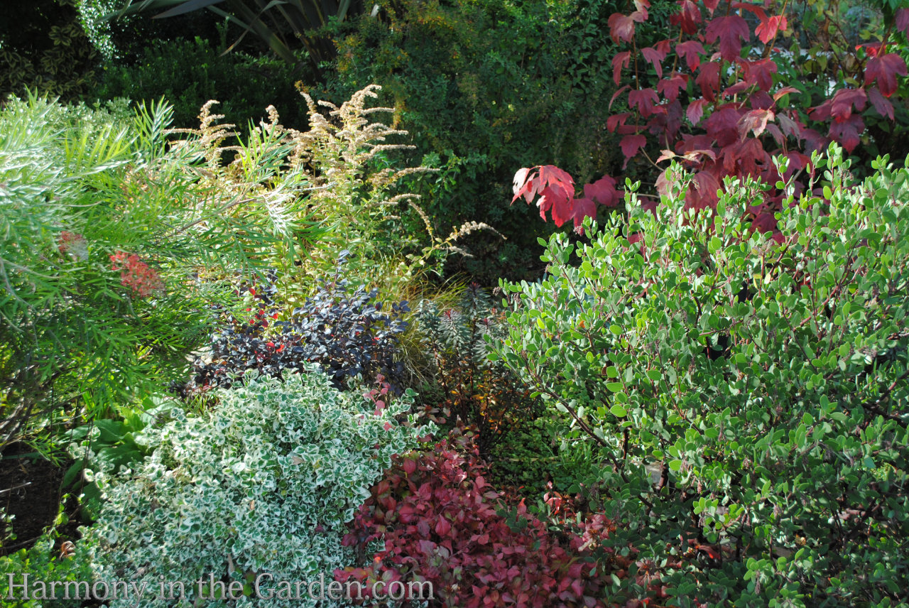 Replacing a lawn with a garden