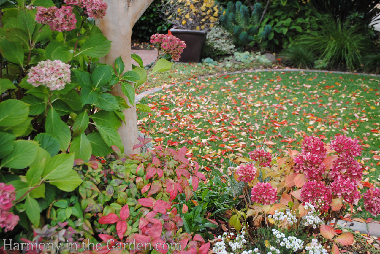 Replacing a lawn with a garden