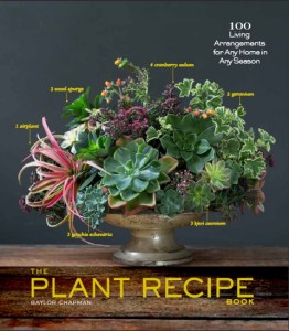 Plant Recipe
