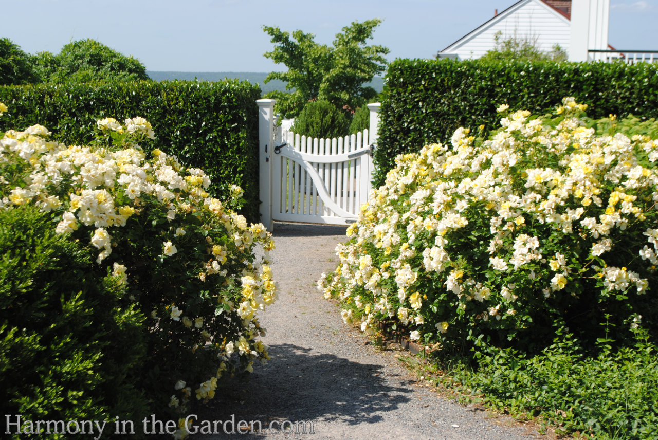 P. Allen Smith Garden