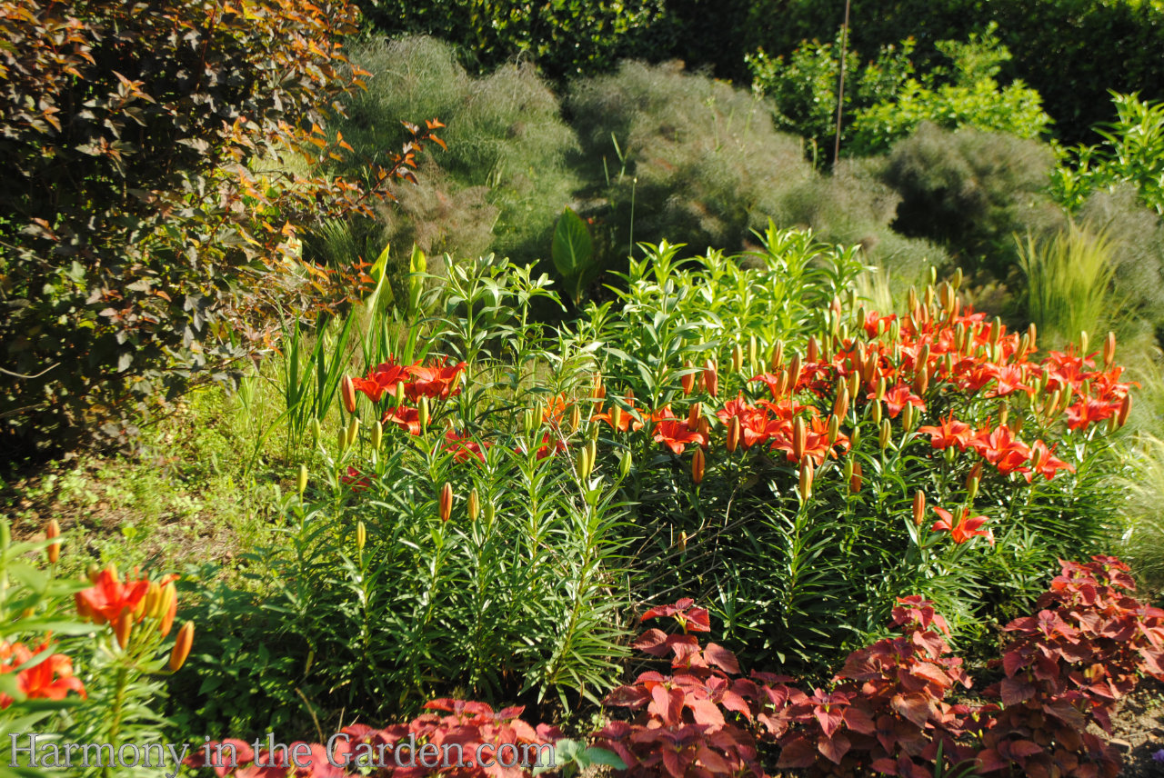 P. Allen Smith Moss Mountain