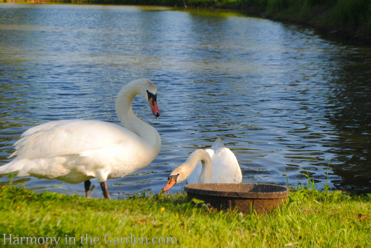 P. Allen Smith