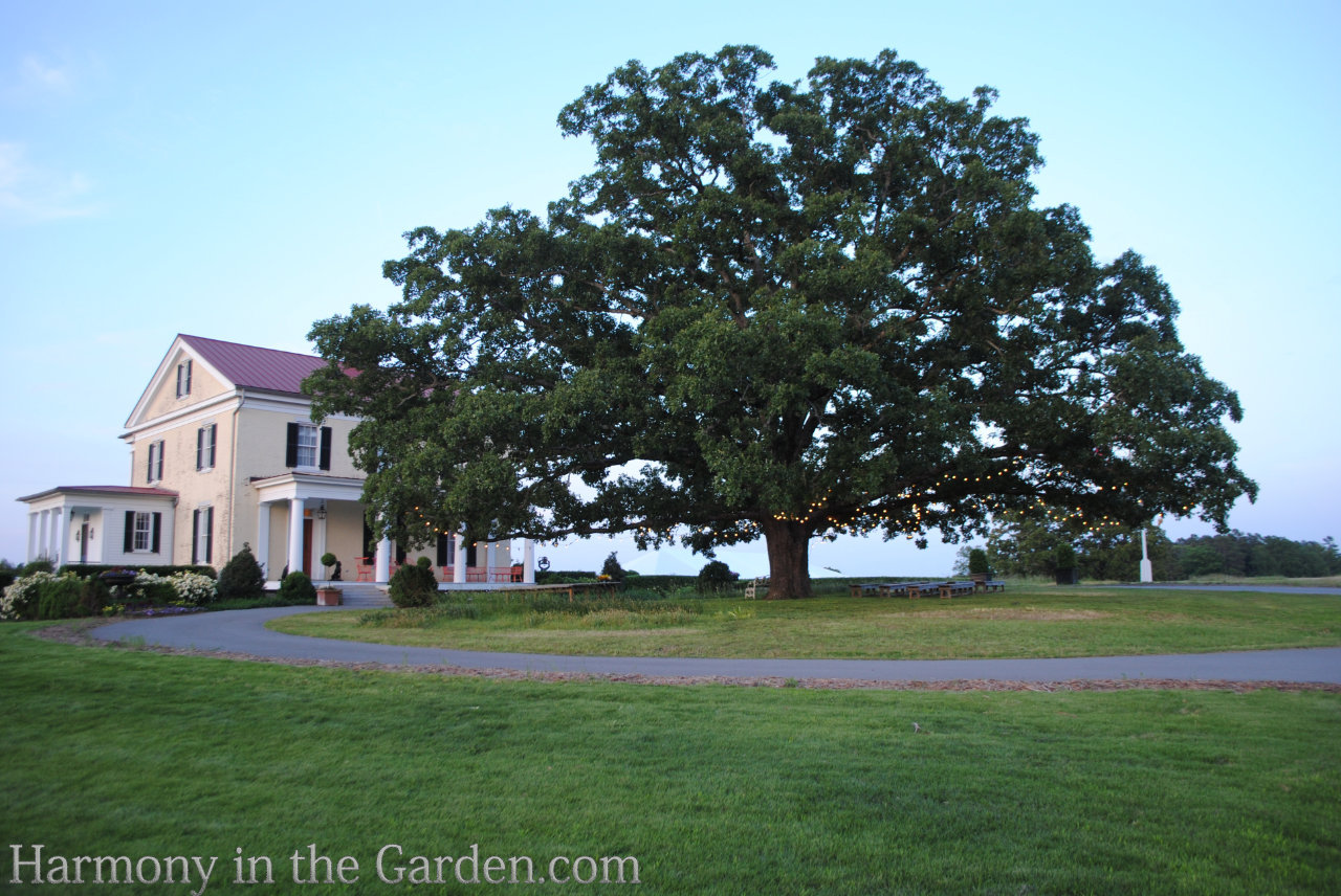 P.Allen Smith Garden