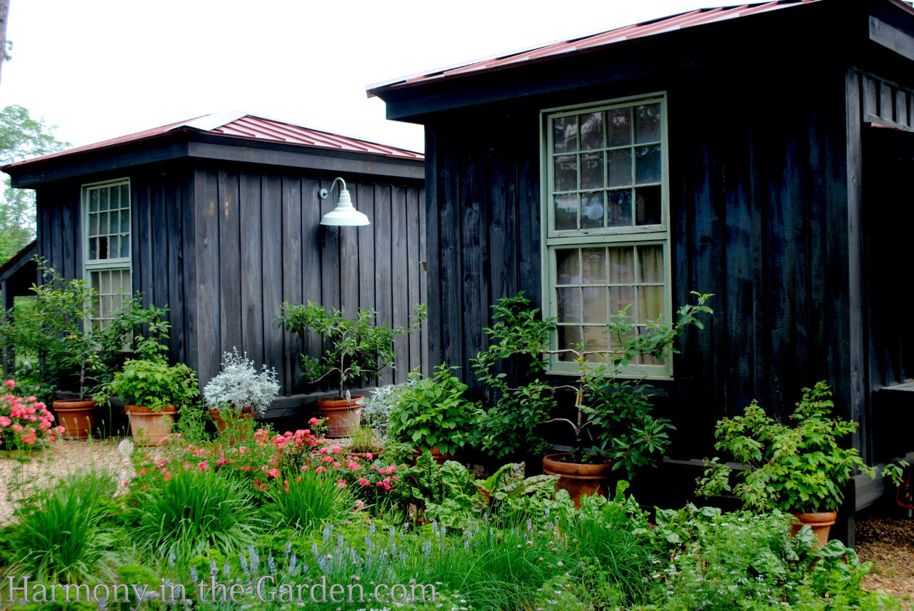 P. Allen Smith Moss Mountain