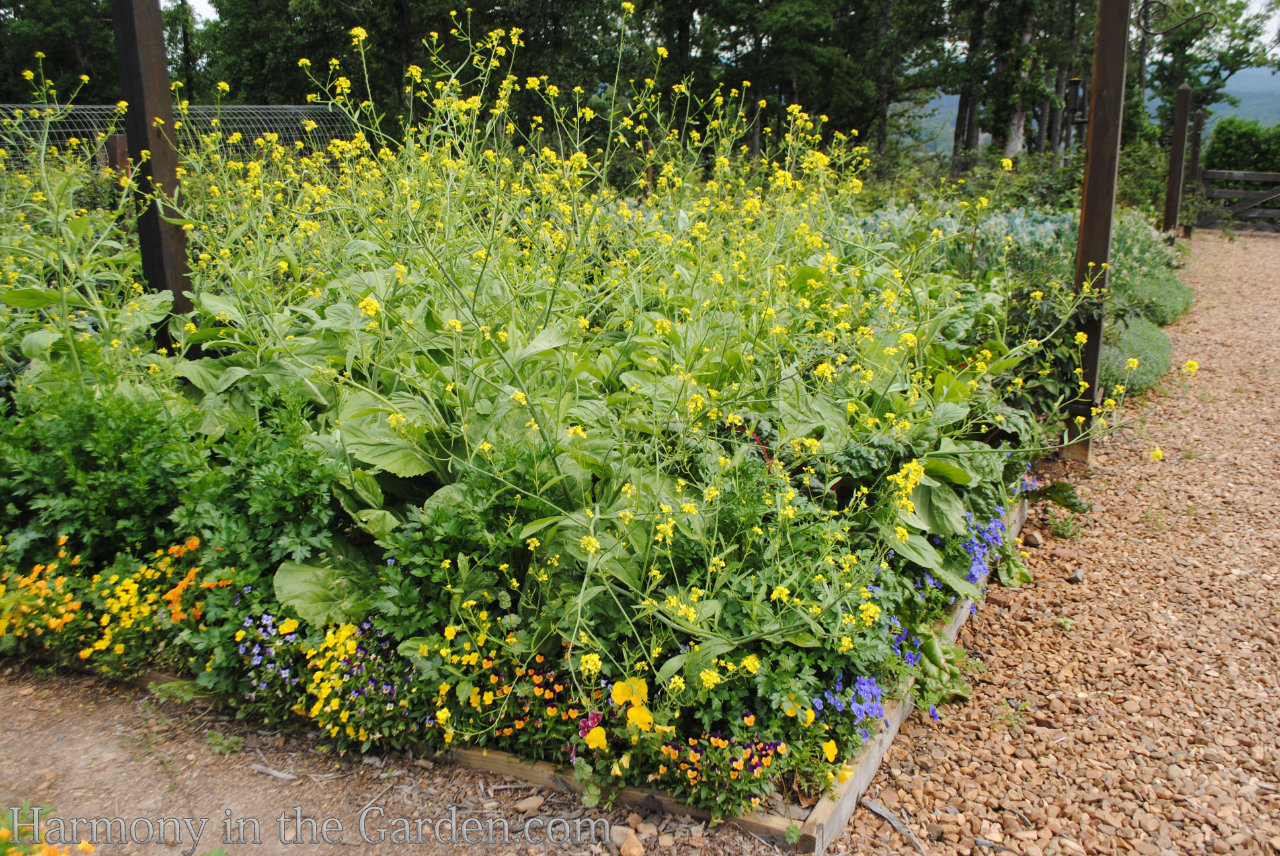 P.Allen Smith Garden