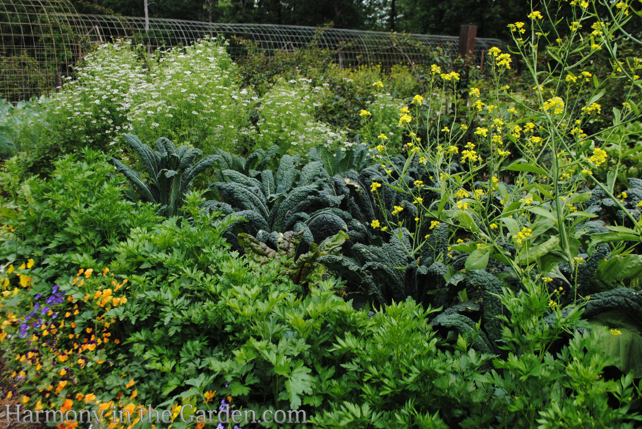 P.Allen Smith Garden