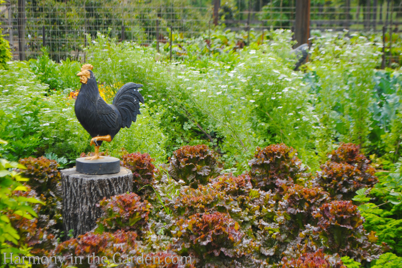 P. Allen Smith Moss Mountain