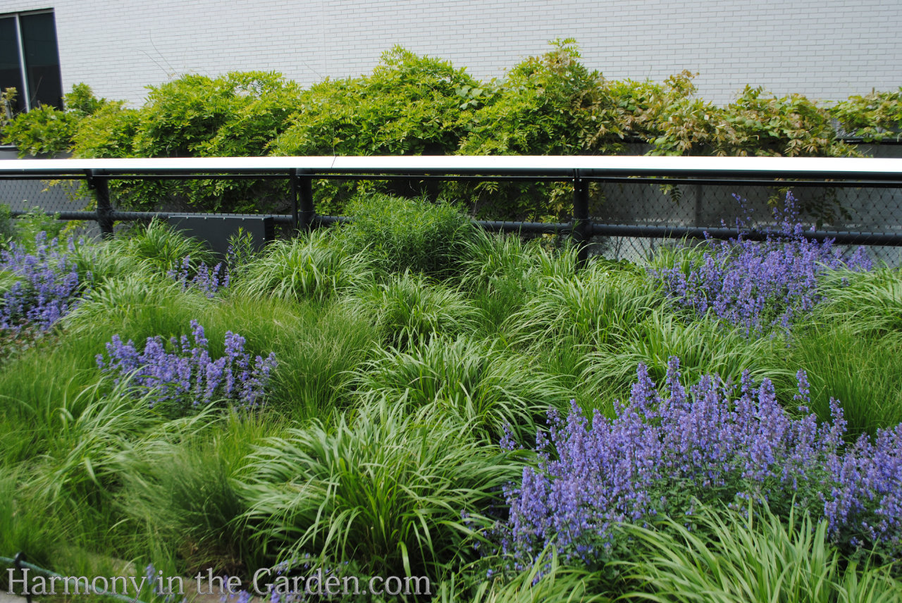 The History of High Line - Gardening