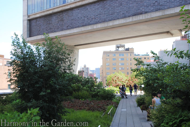 High Line garden