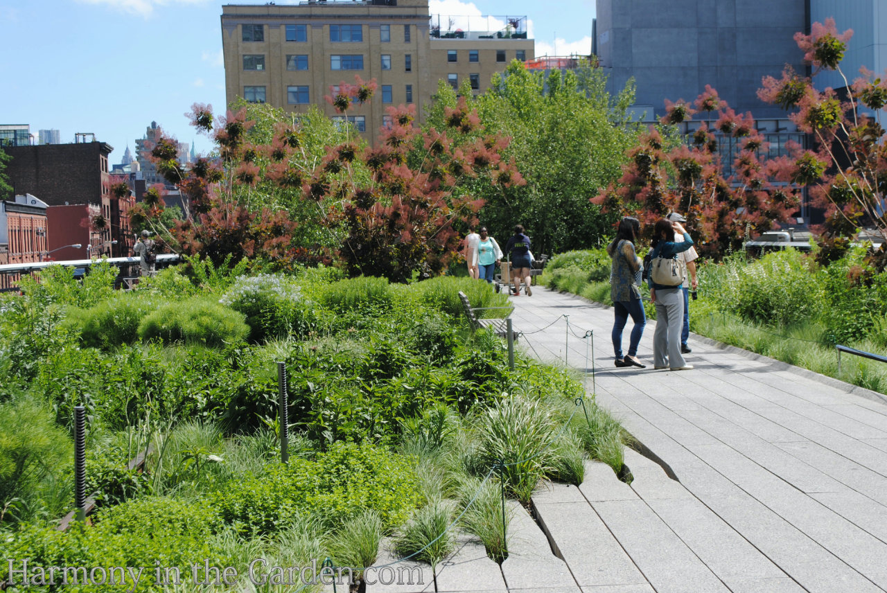 The History of High Line - Gardening